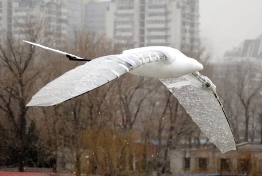    Фото: www.globallookpress.com