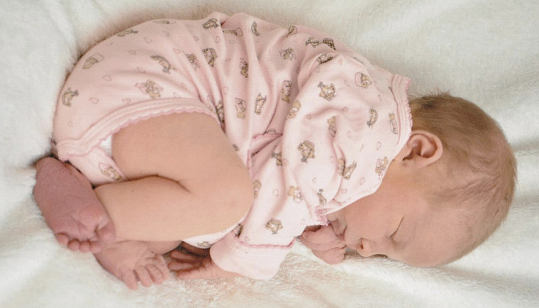 Фото Яндекс картинки.