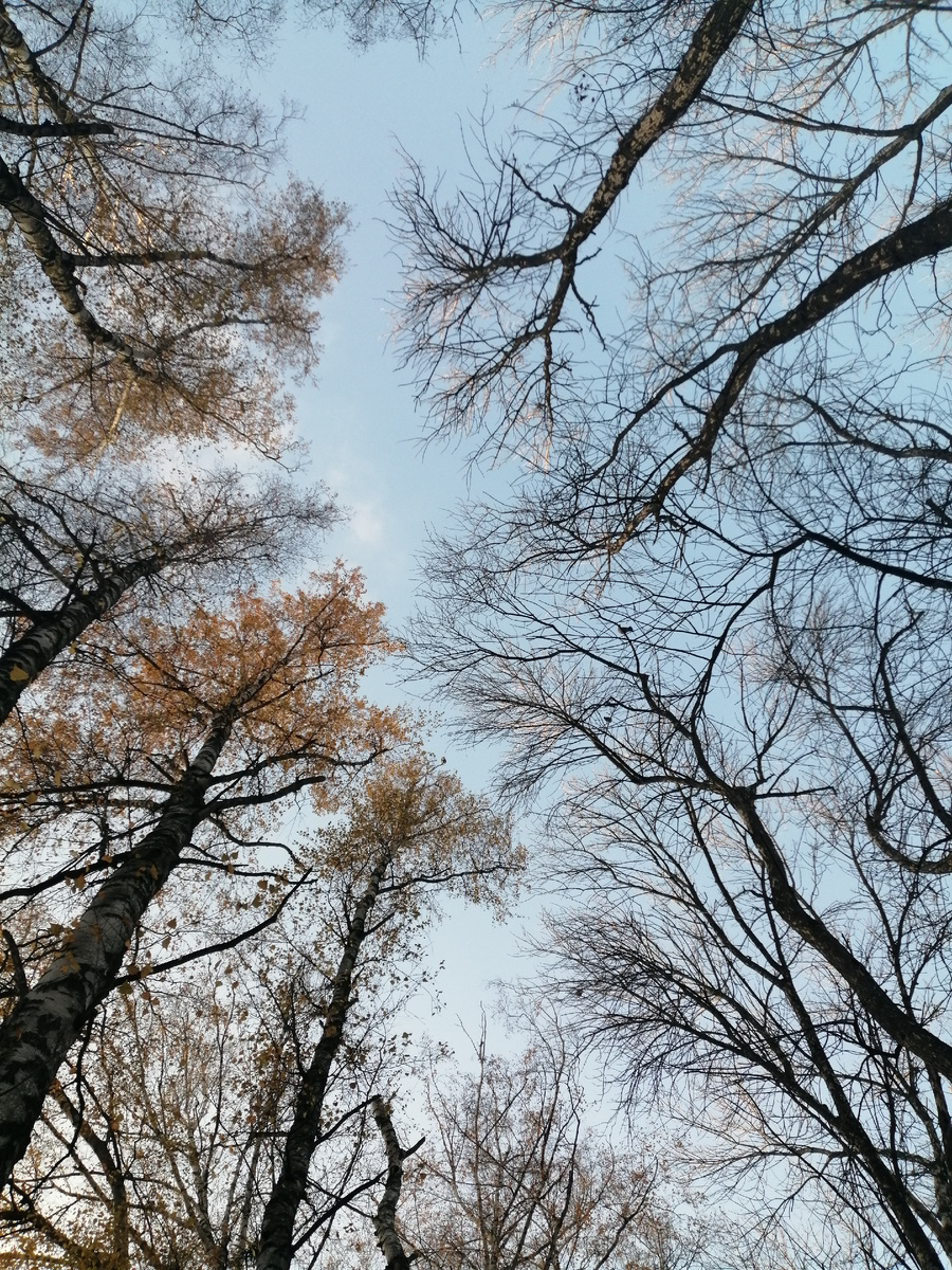 Больше про коммуникативные навыки пишу в своём Телеграм канале «Столетова Лариса» 