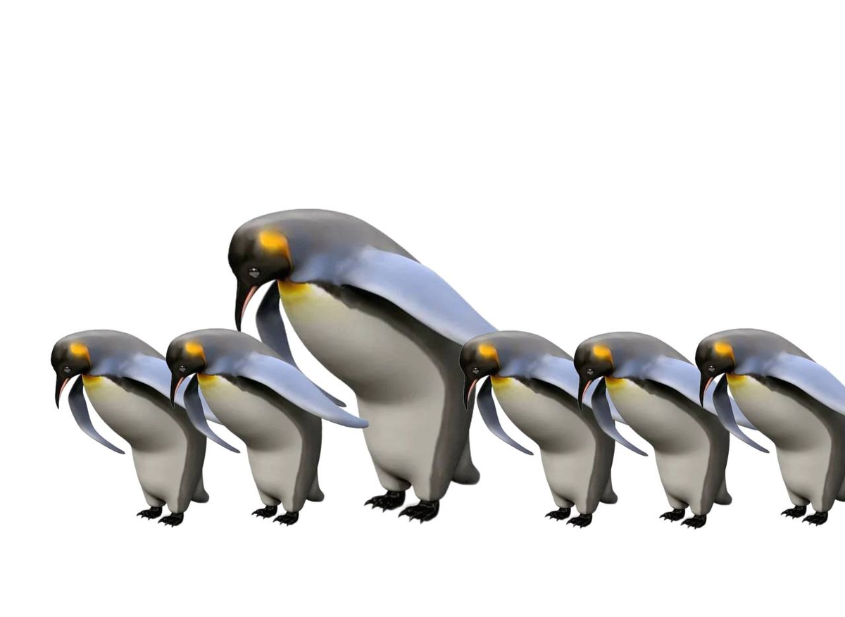 Фото: соцсети