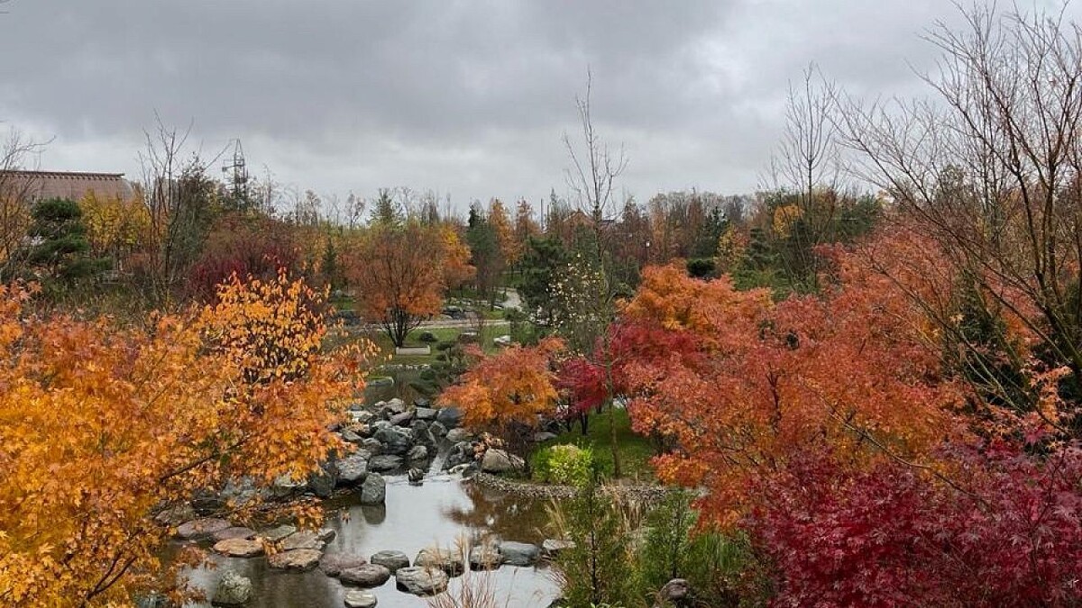    Фото: телеканал «Краснодар»