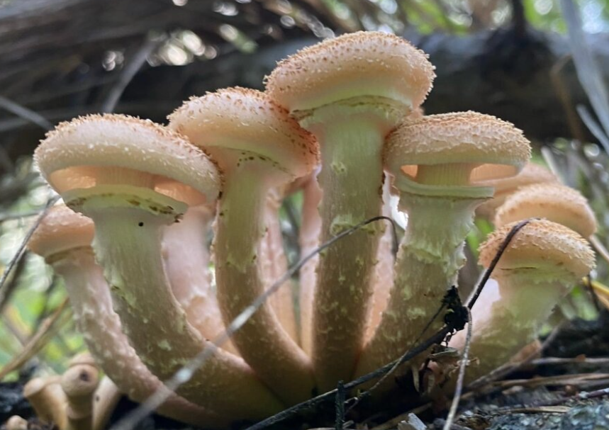 Автор фото Галина Ш.