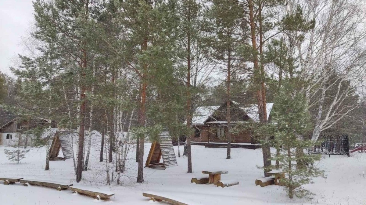 Департамент культуры Тюменской области📷
