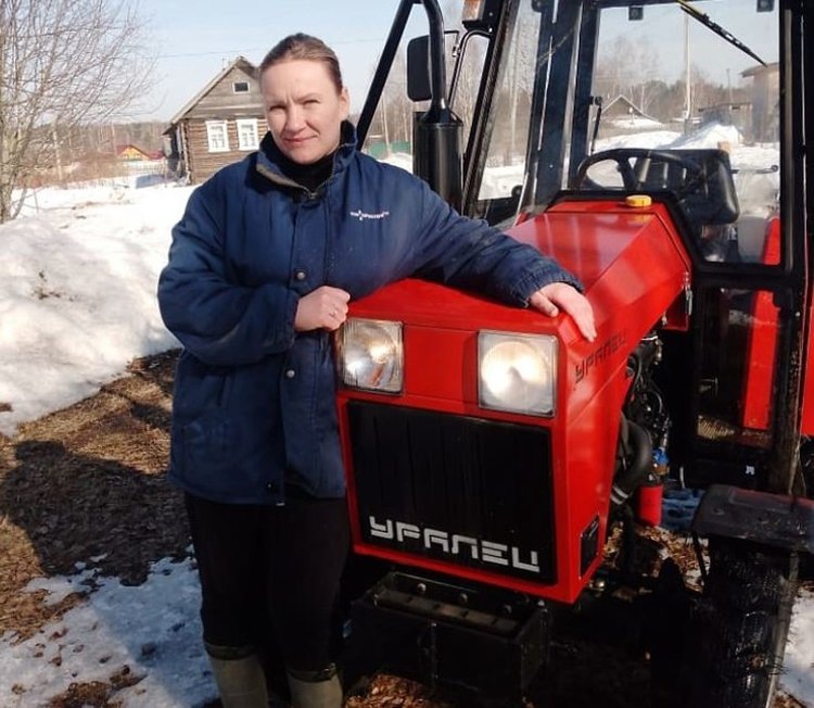     Современный фермерский малинник с ремонтантными сортами появился в деревне Новгородской области
