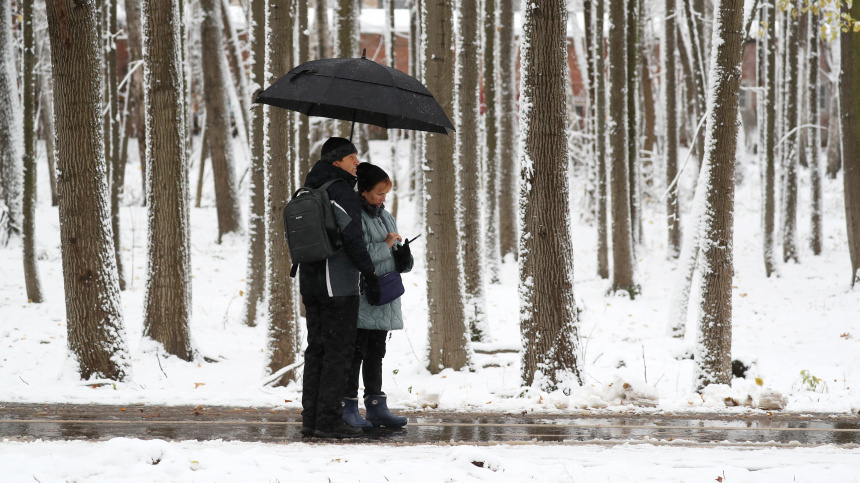    Фото: ИЗВЕСТИЯ/Эдуард Корниенко