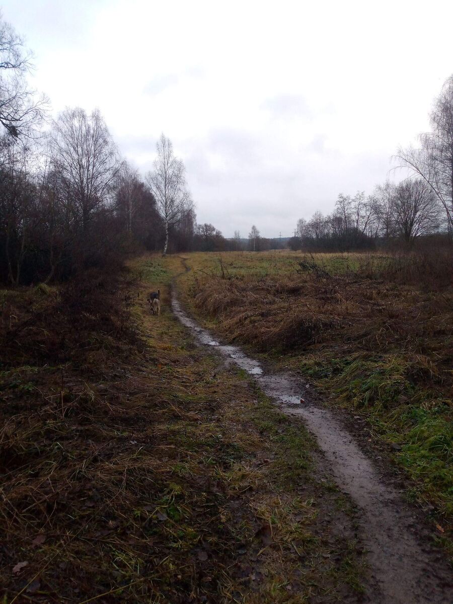 Поздняя осень 