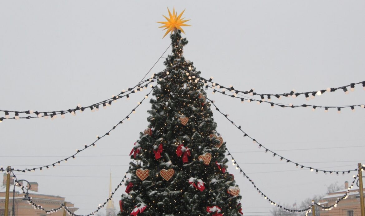 Фото: Baltphoto/Надежда Цветкова