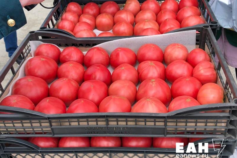    ЕАН / Продукты подешевели из-за роста производства на фабриках и урожайного года