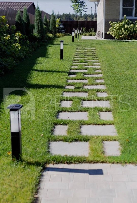 Шаговая дорожка в ландшафтном дизайне