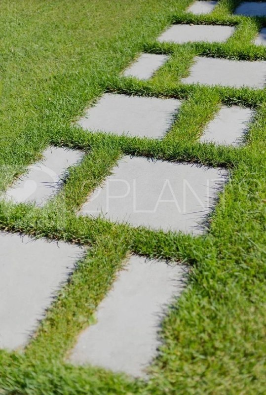 Шаговая дорожка 