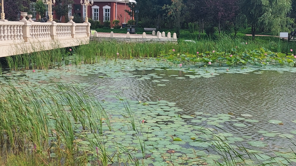 набережная