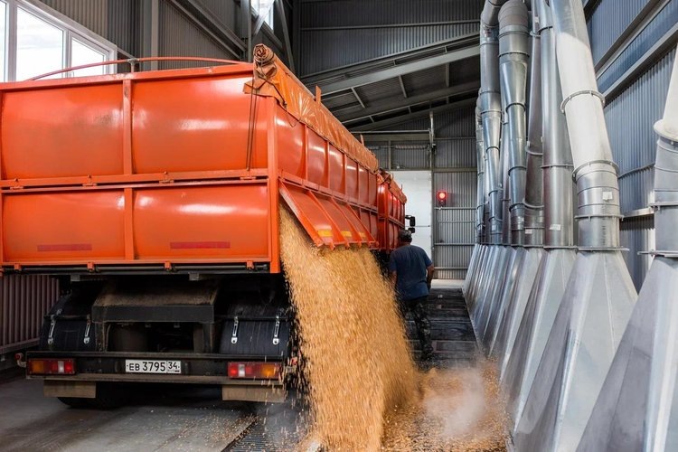    Итоги первого полугодия 2024 года в отрасли глубокой переработки зерна