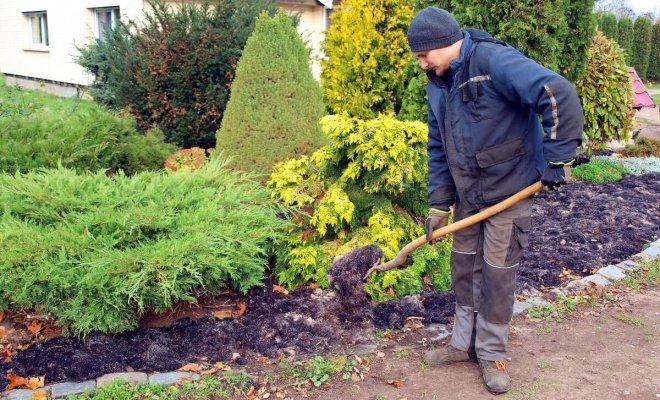 Фото: Telegram, «Дача и огород»
