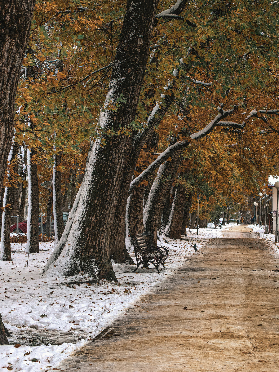 Автор фотографии - моя читательница Мася Розенфельд