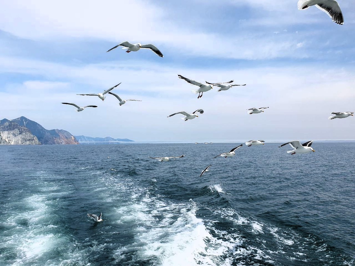 Автор фотографии - моя подруга Наташа (это Камчатка)