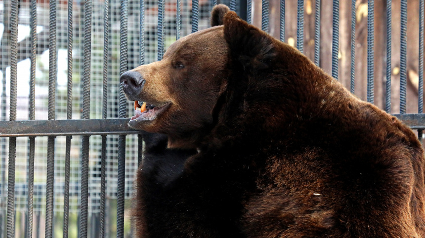    Фото: © РИА Новости/Илья Наймушин