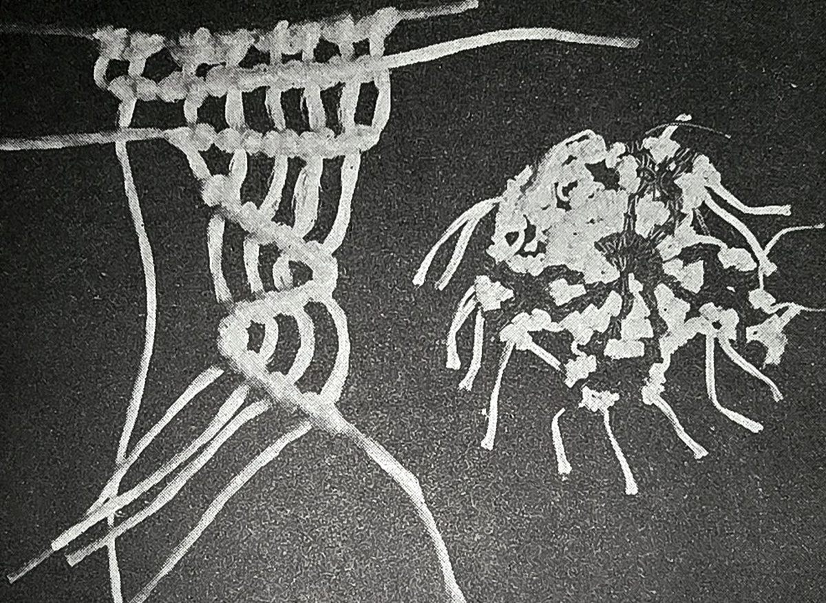 Образцы брид - горизонтальных, диагональных, спиральных.