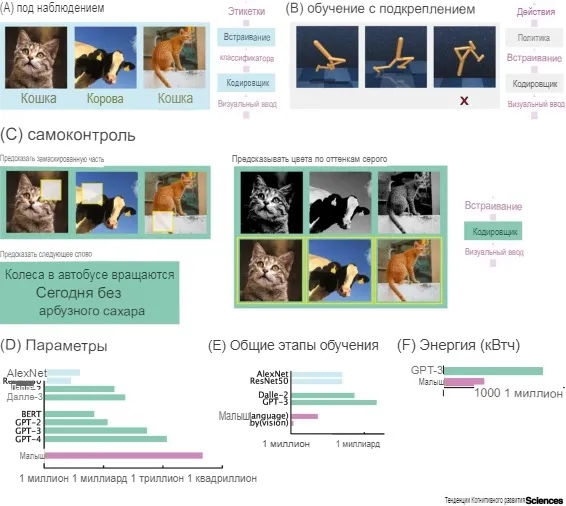 Сравнение стратегий машинного самоконтроля в обучении. 