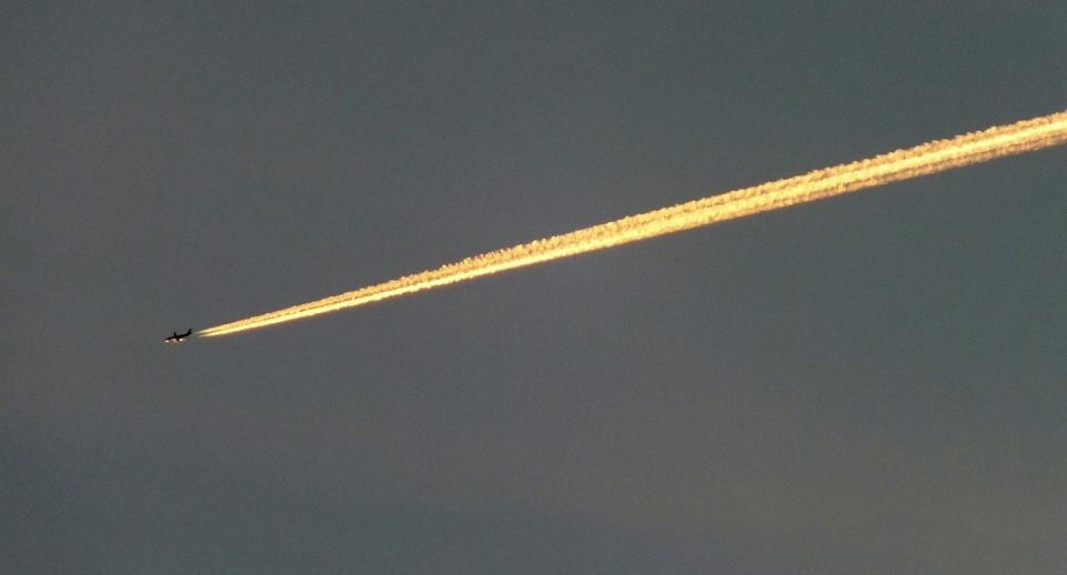    Victor Lisitsyn / Global Look Press