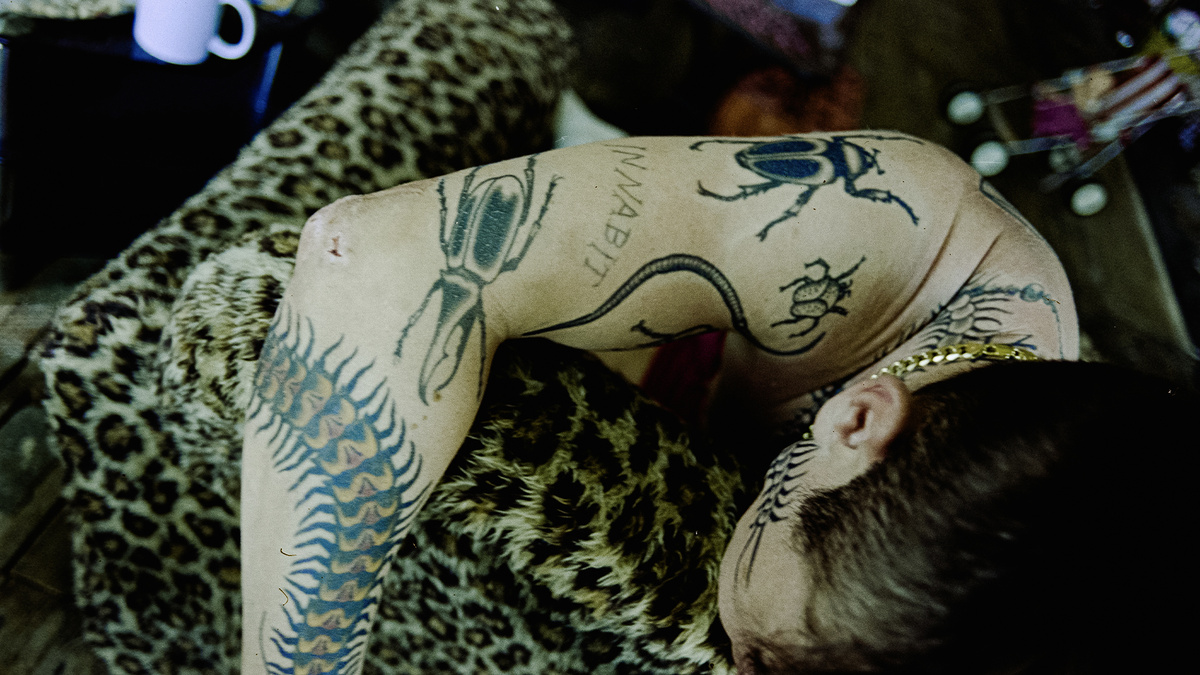 Кадр из фильма "Птица"