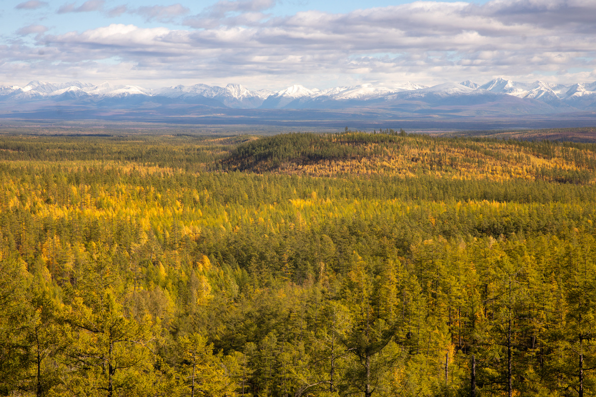 Фото: Егор Власов