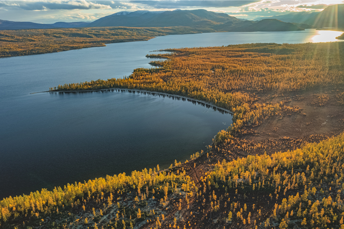 Фото: Дмитрий Иванов