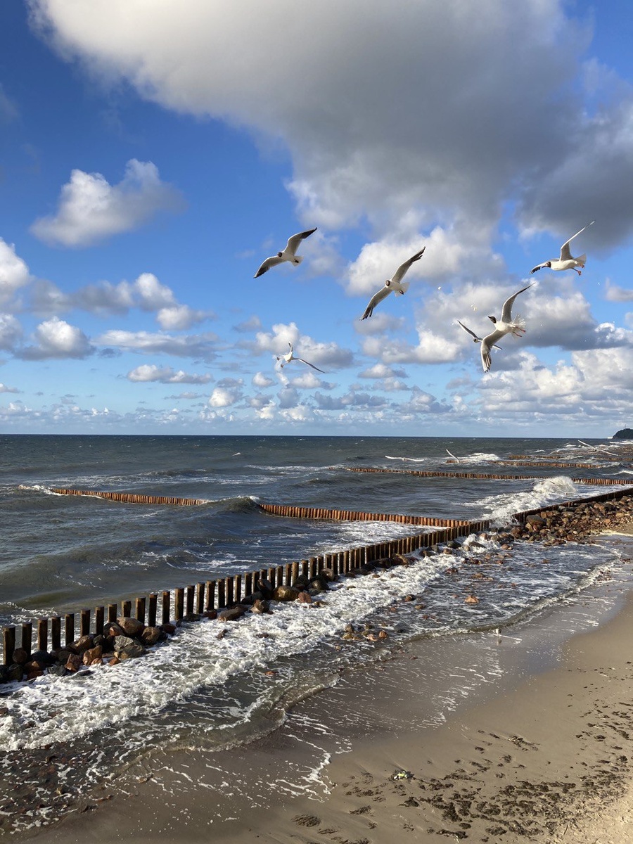 Балтийское море. Светлогорск