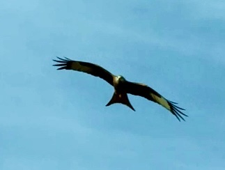 По дороге в Куэнку. Фото автора