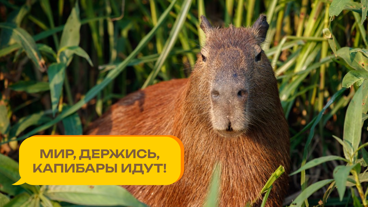 Изображение с ресурса Freepik
