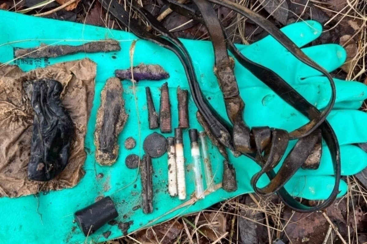    Останки 16 красноармейцев обнаружили поисковики в Тверской области