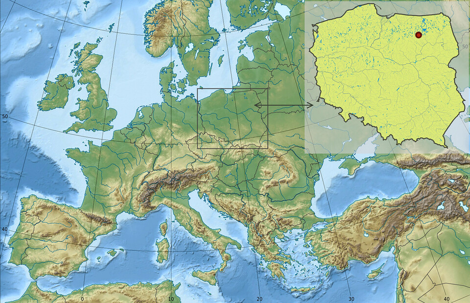   Aleksandra Rzeszotarska-Nowakiewicz et al. / Archaeometry, 2024