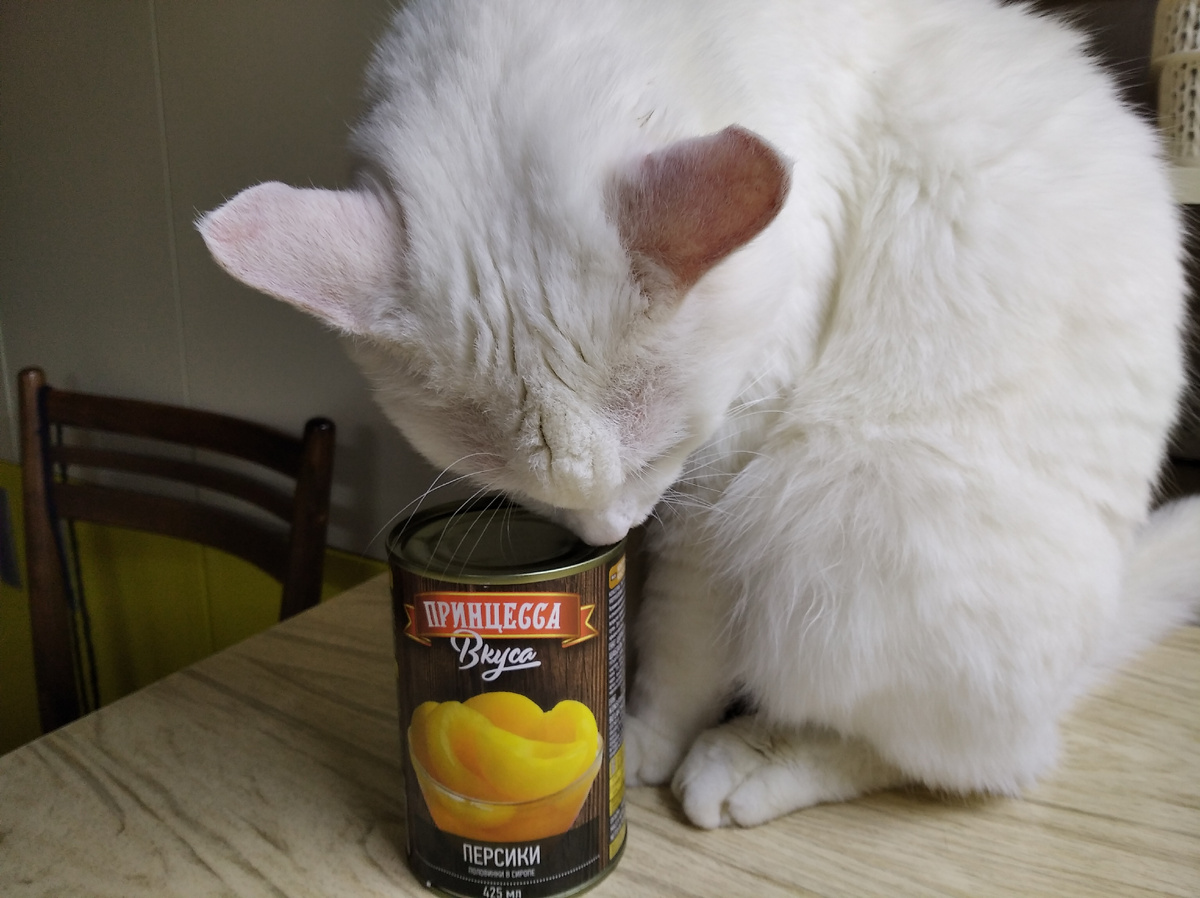 Тихон изучает покупку)