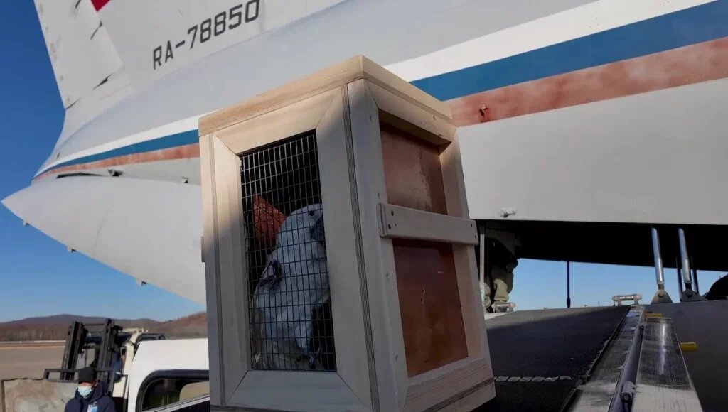    Фото: пресс-служба Минприроды России