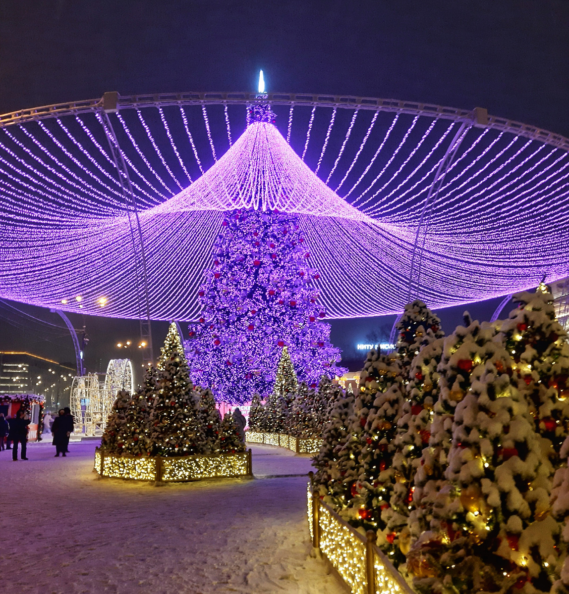 Зимняя сказка Парка Горького. Москва. 2024 год.