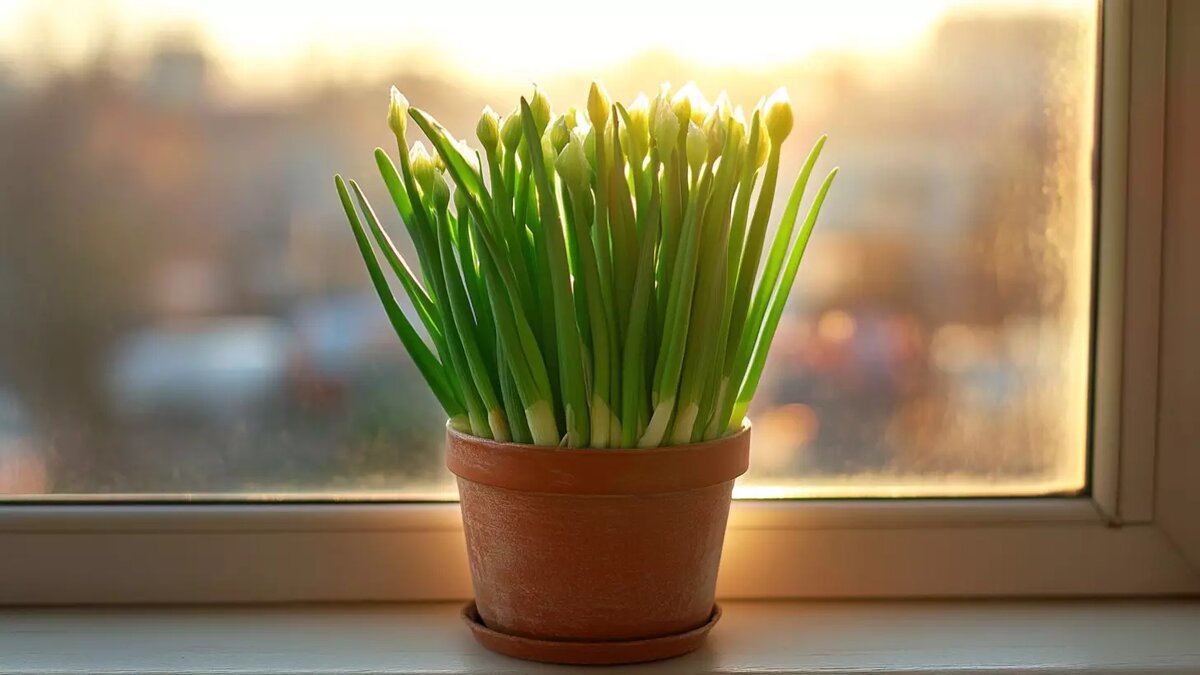     Источник: Изображение Midjourney