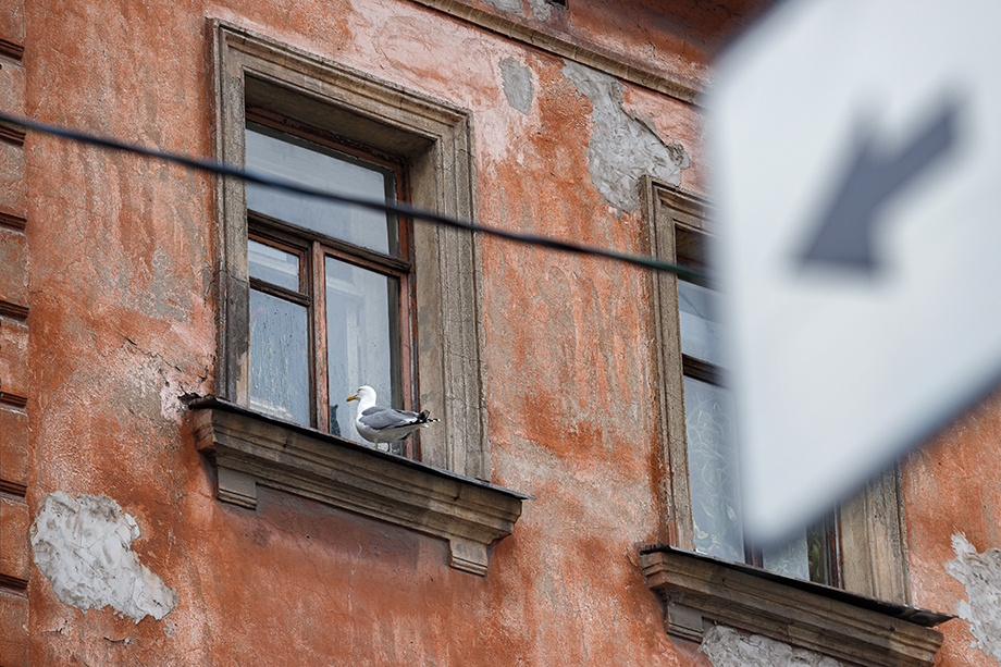 Жители и общественники Санкт-Петербурга ратуют за сохранение оригинальных окон при проведении капремонта исторических зданий. | Фото: Александр Мамаев/Octagon.Media