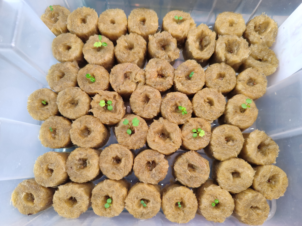 Фото 6 января 2024