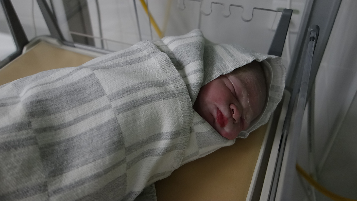 Вот он красавец