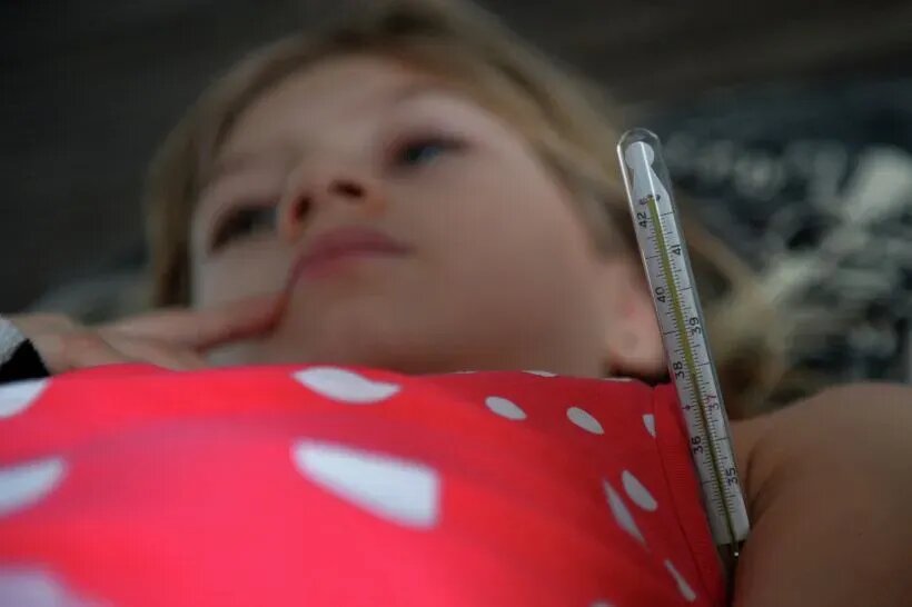     © РИА Новости. Максим Богодвид