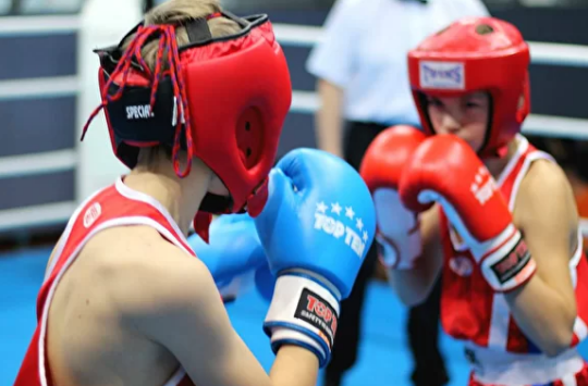 Фото: проф-бокс.рф.