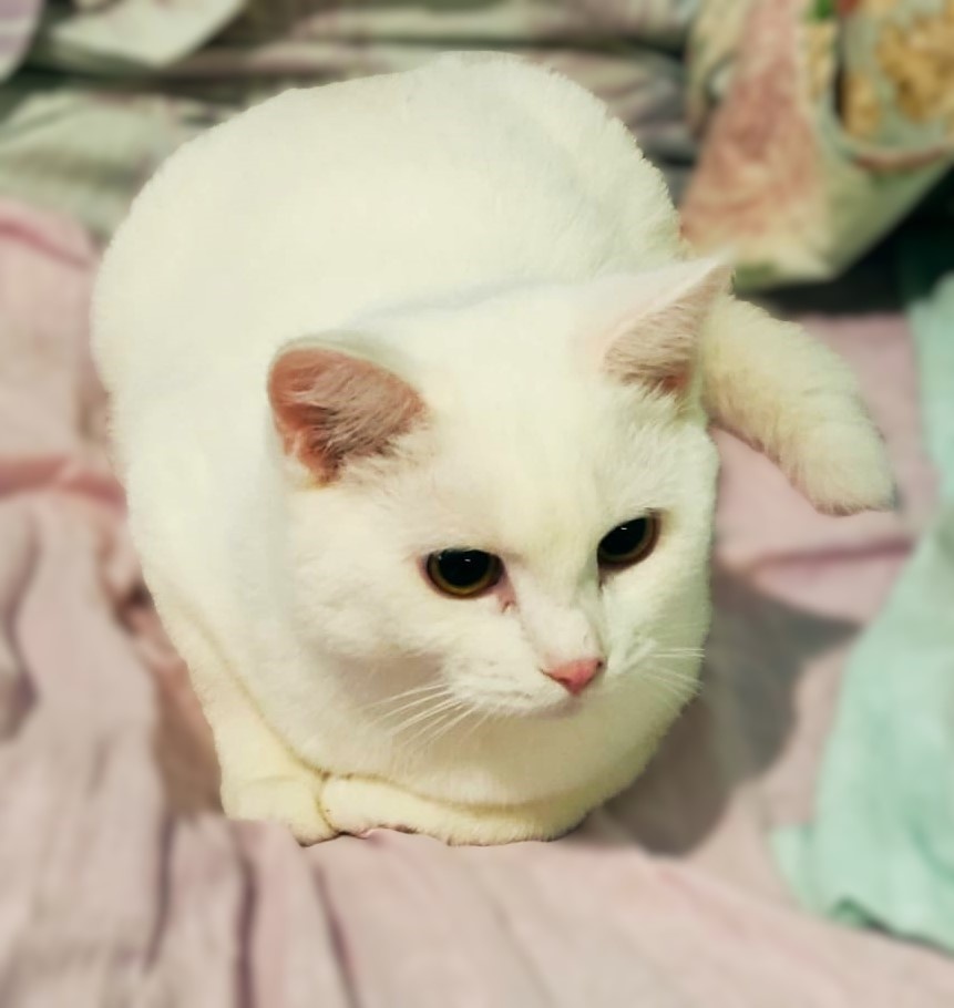 Сигизмунд вымахал)