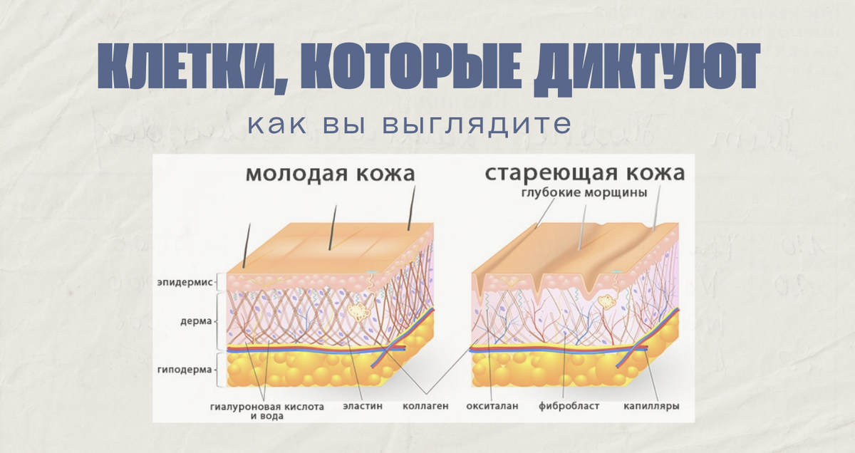 Вам диктуют как жить