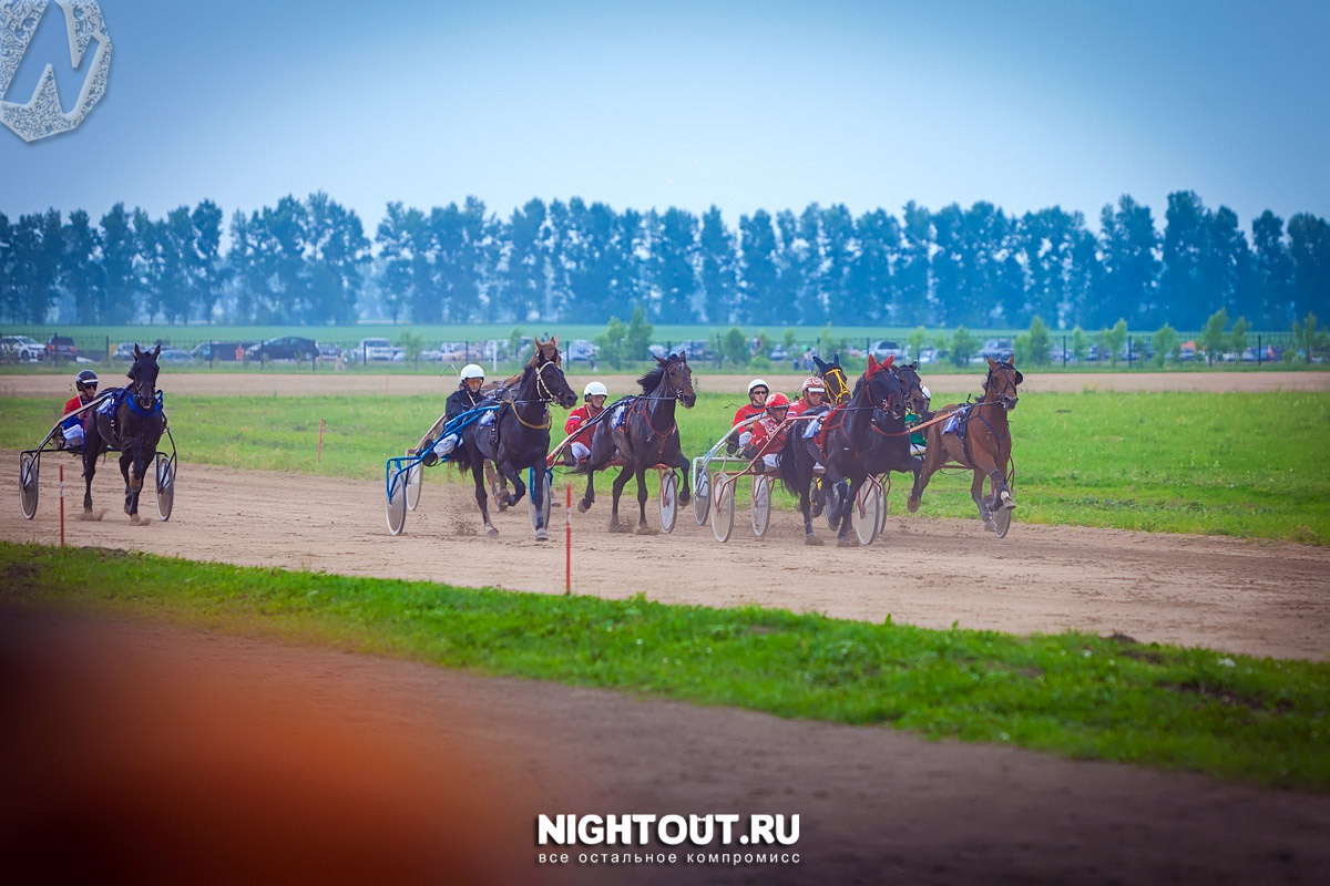 АлтайФест 2019. Фото взяты здесь: https://vk.com/altaifest 