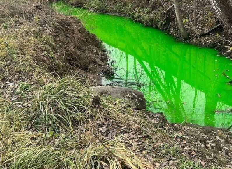    Фото: пресс-служба Минэкологии Московской области