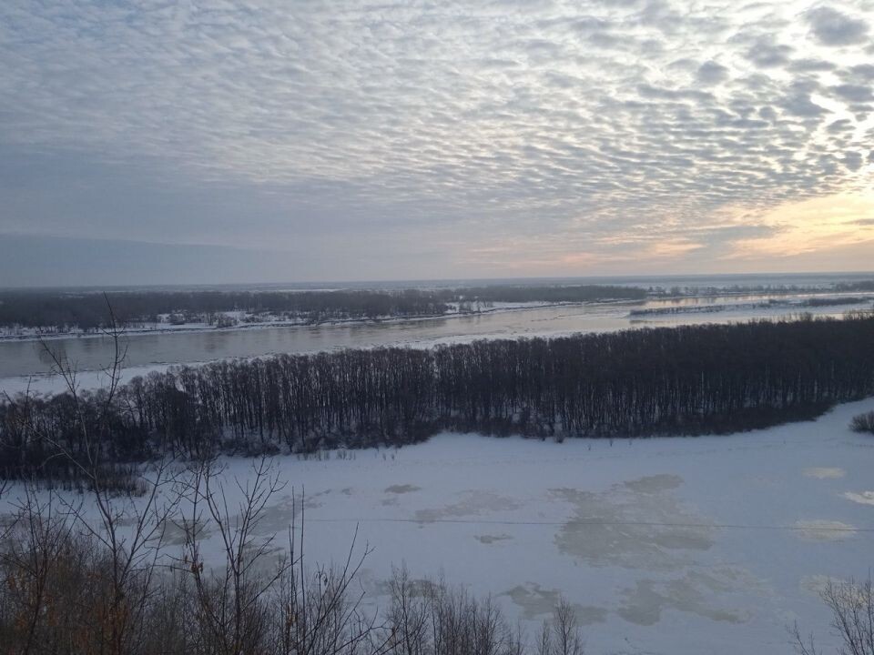    Берег Оби. Источник: пресс-служба компании "Газпромнефть-Региональные продажи"