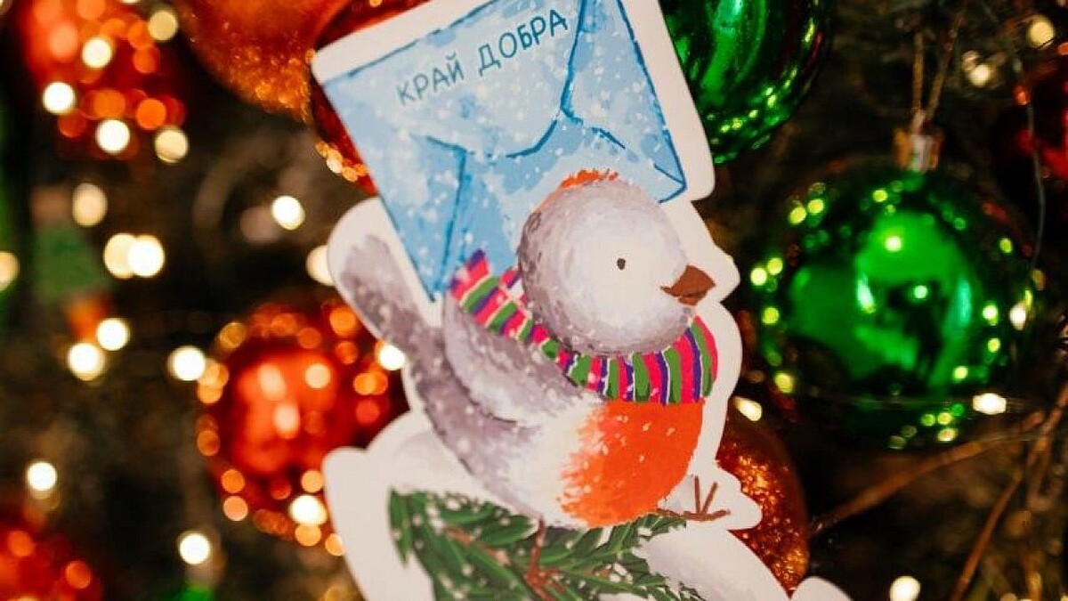    Фото: t.me/minkovaanna23/5206