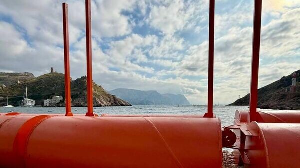    © Telegram Михаил Развожаев