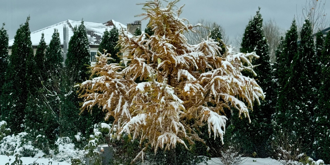 Пять лет с рецидивом, полгода без химий - полет нормальный