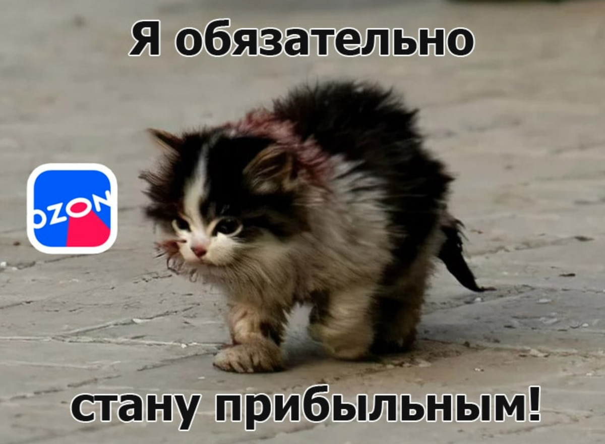 Когда решил выйти на МП в 2024 году