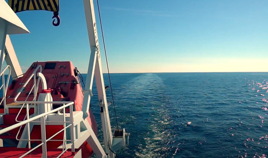 Фото: Prt Scr youtube.com / matthijs van der laan